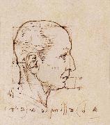 LEONARDO da Vinci Study of the proportion of the head oil painting reproduction